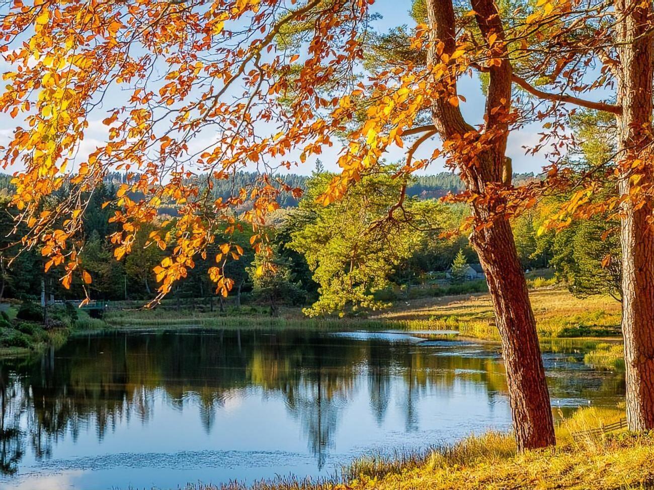 Синоптик: Ожидается сухая малооблачная теплая октябрьская погода