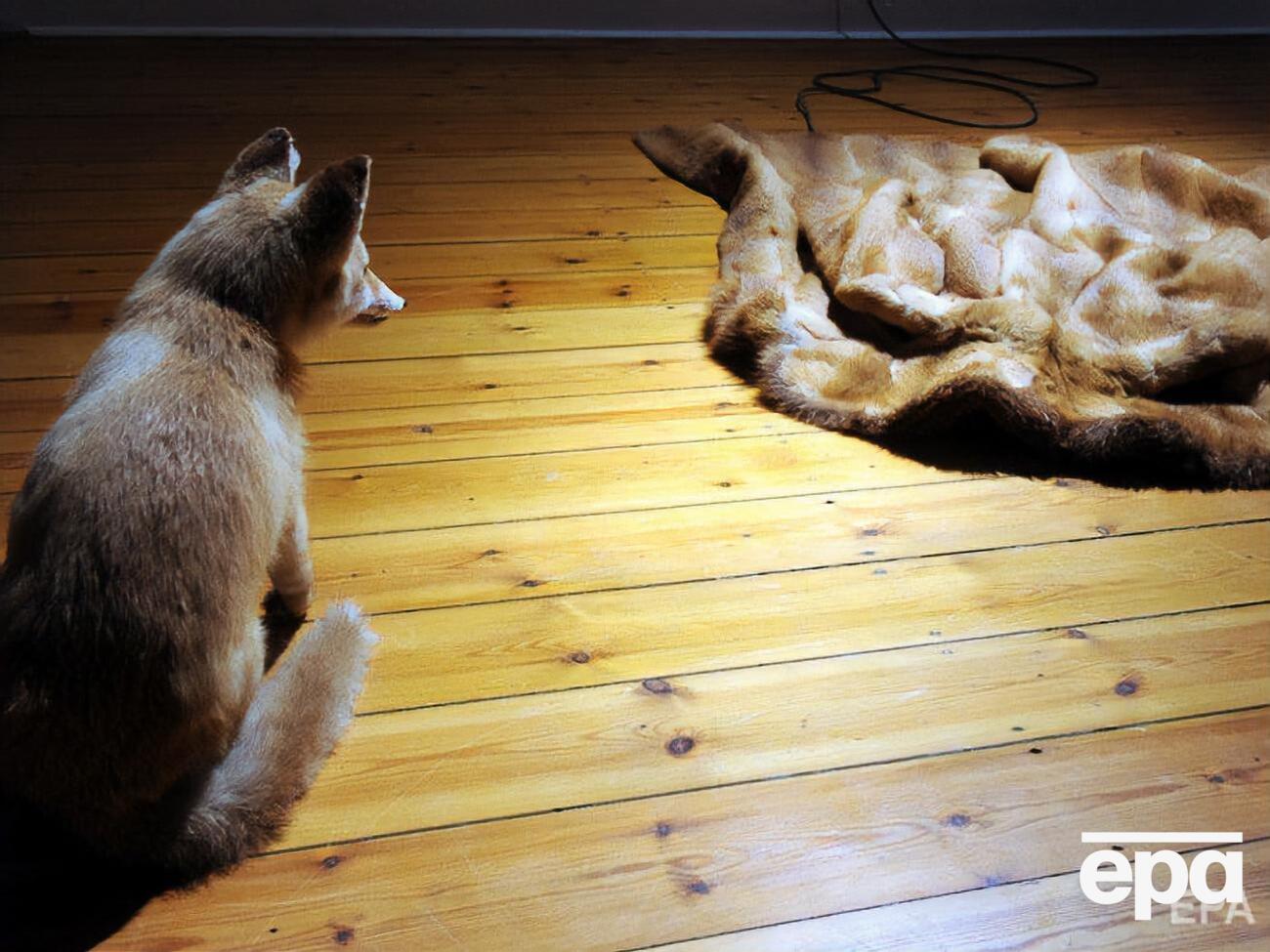 Запрет на&nbsp;продажу и изготовление одежды из меха вступит в силу с 1 января 2023 года