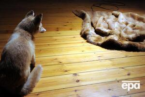 Заборона на продаж та виготовлення одягу із хутра набуде чинності із 1 січня 2023 року