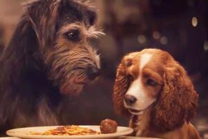 Премьера состоится на стриминговом сервисе Disney 12 ноября