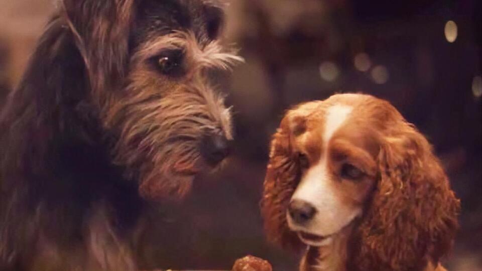 Премьера состоится на стриминговом сервисе Disney 12 ноября