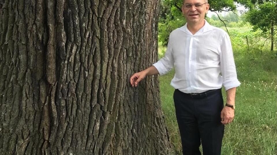 Пашинський перебуває під арештом у справі про заподіяння громадянину тяжкого тілесного ушкодження