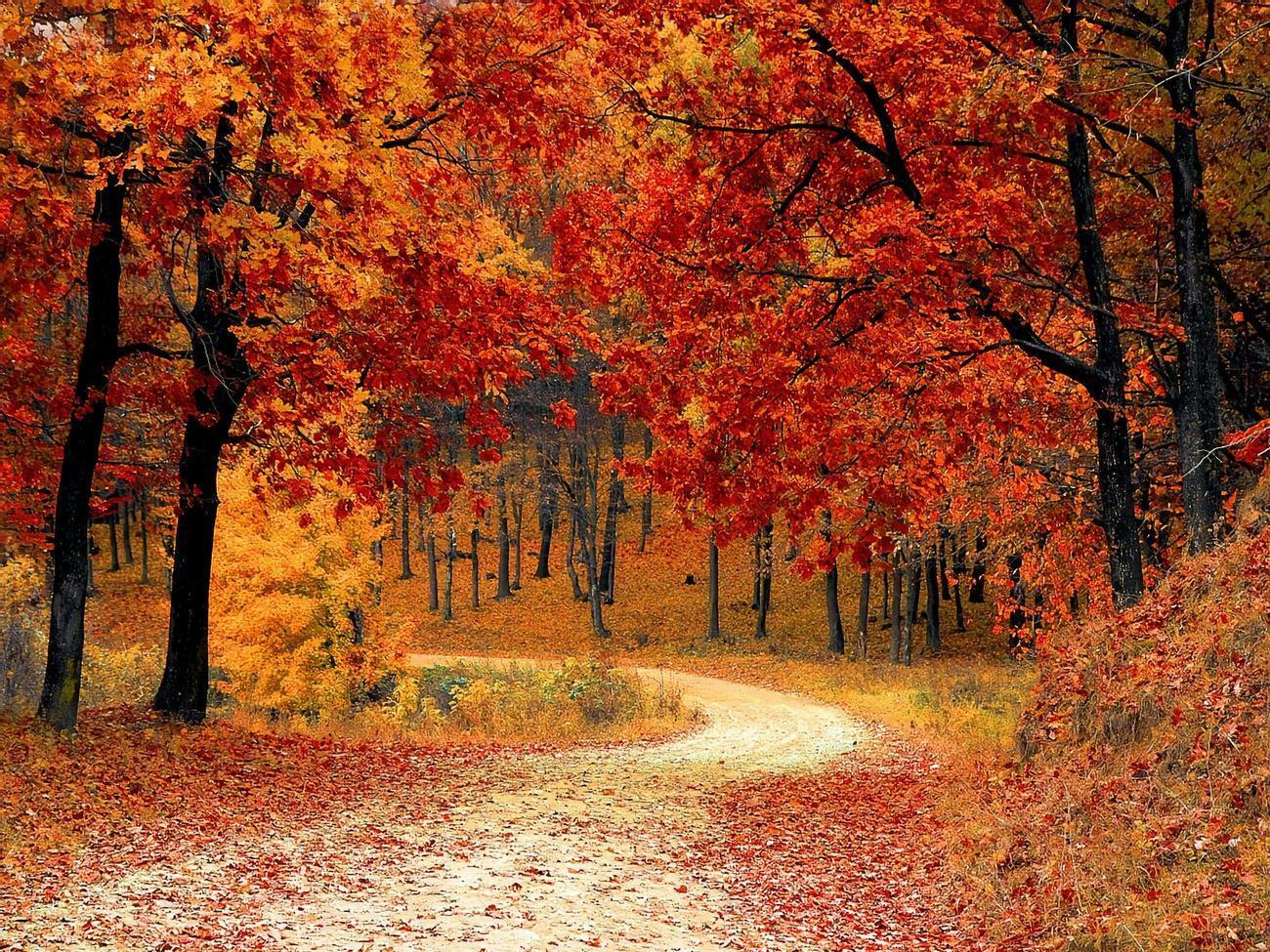 В ближайшие дни в Украине ожидается теплая погода