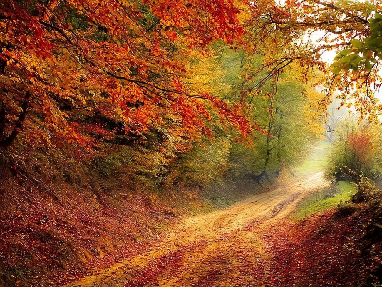 Температура в Киеве на прошлых выходных обновила исторический рекорд