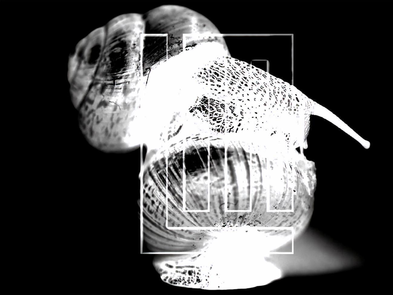 Ролик создан с помощью&nbsp;генеративно-состязательной сети