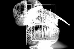 Ролик создан с помощью генеративно-состязательной сети