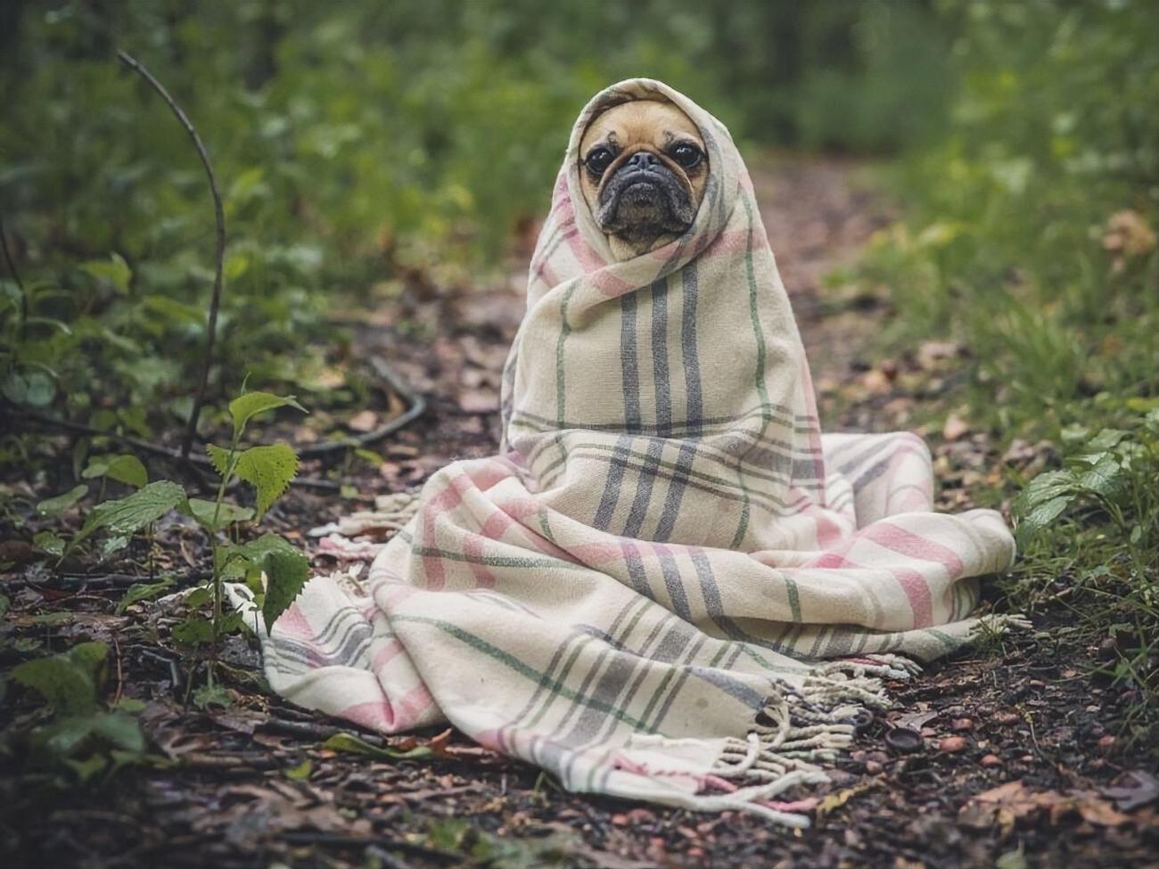 Опалювальний сезон почався у 12 областях України. Інфографіка