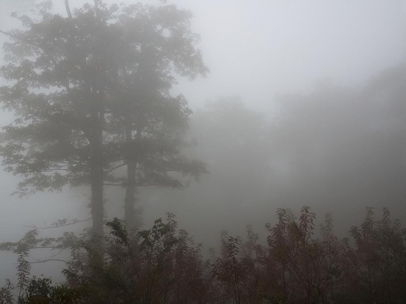 За словами Кульбіди, забруднення повітря є типовим для такої погоди