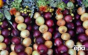 Лук должны поставить в село Безугловка