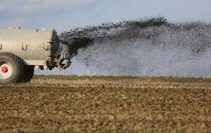 НАБУ расследует производство в связи с закупкой минудобрений Аграрным фондом