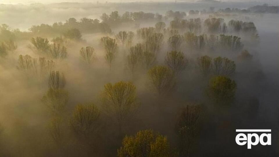 В Україні прогнозують туман
