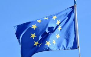 Украинцы стали рекордсменами по получению первых видов на жительство в Европе