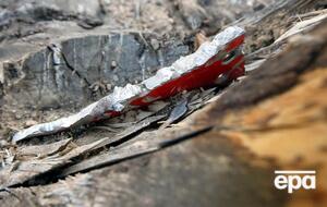 Следком допускал польских экспертов к обломкам самолета в сентябре 2018 года