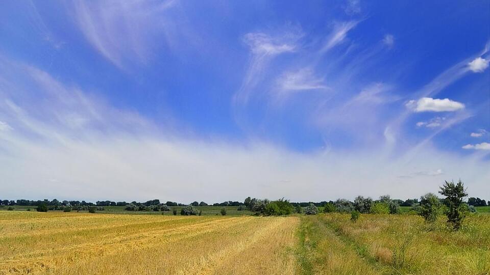31% опитаних підтримує скасування мораторію на продаж землі