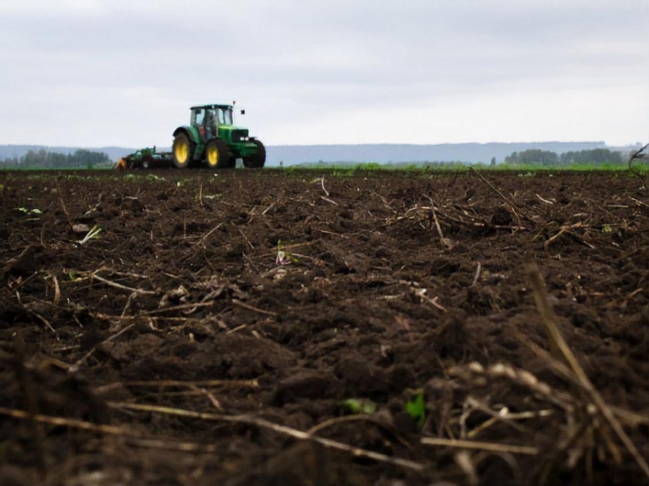 Співробітнику Миколаївського відділення Українського держфонду підтримки фермерських господарств дали хабаря в сумі 40 тис. грн, заявили у прокуратурі