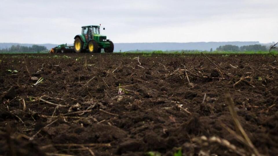 Співробітнику Миколаївського відділення Українського держфонду підтримки фермерських господарств дали хабаря в сумі 40 тис. грн, заявили у прокуратурі