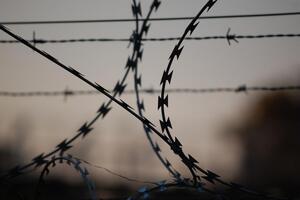 Шура задержали в РФ в октябре 2014 года