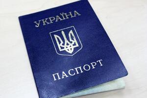 По Конституции в Украине существует единственное гражданство