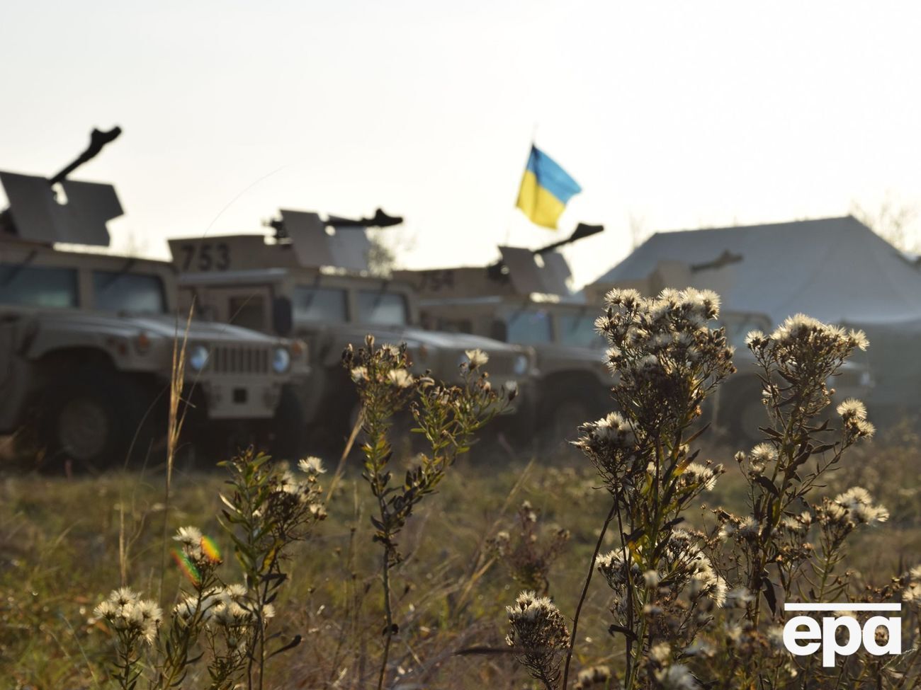Война в Украине началась в 2014 году