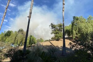 Займання у районі Голлівудських пагорбів сталося 9 листопада