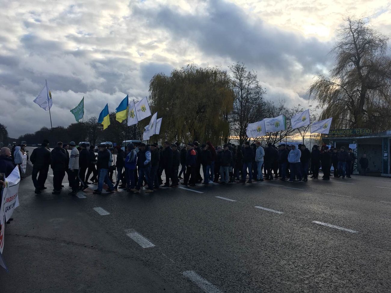 Активисты провели акцию "Нет распродаже Украины" 11 ноября