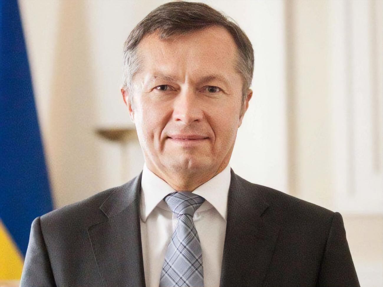 В сентябре 2014 года&nbsp;&ndash; декабре 2015-го Писарук был заместителем Гонтаревой