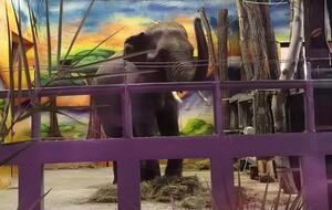 Шанти уже показывают посетителям