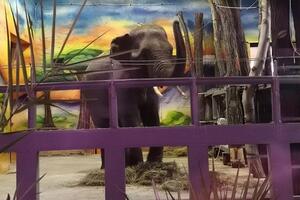 Шанті вже показують відвідувачам