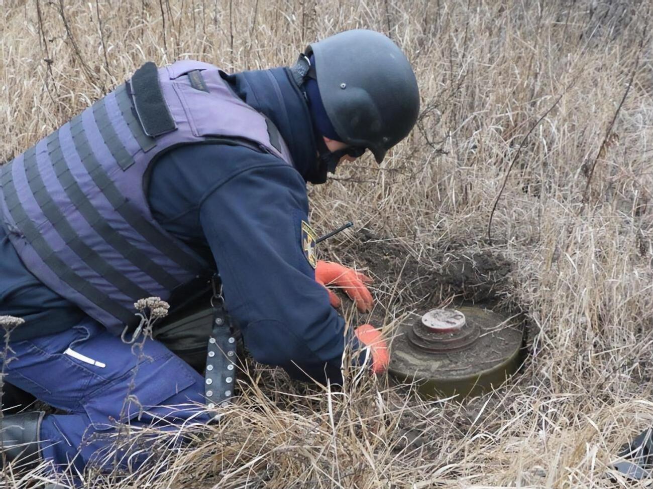В районе Петровского началось разминирование. Фоторепортаж