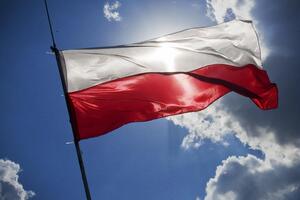 Протягом 11 місяців 2019 року в Польщі з різних причин померло щонайменше 213 українців