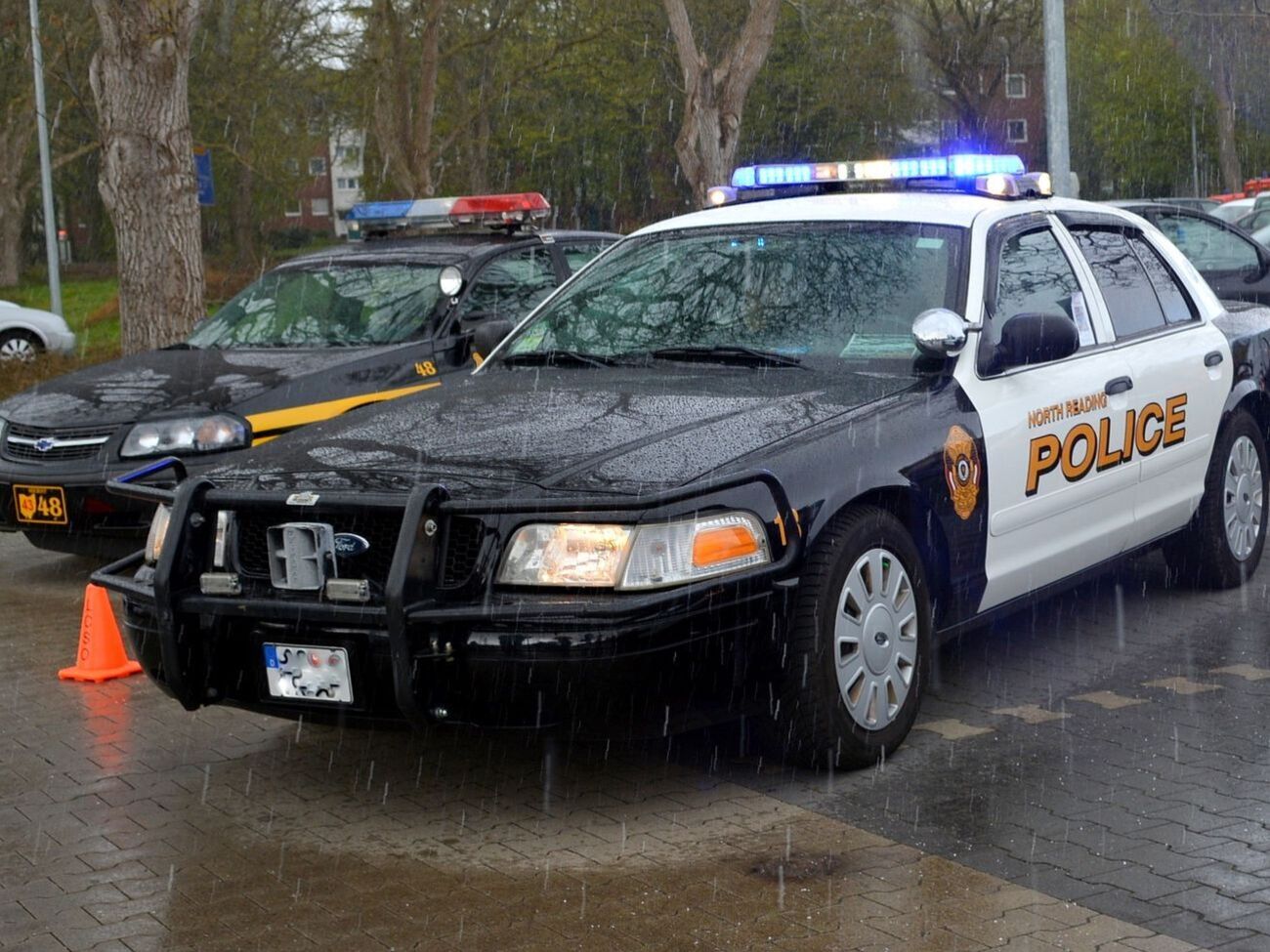 Поліція затримала підозрюваного