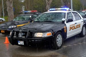 Поліція затримала підозрюваного