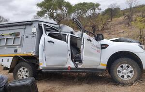 Сбитый жираф упал на другую машину, за рулем которой был турист из Швейцарии