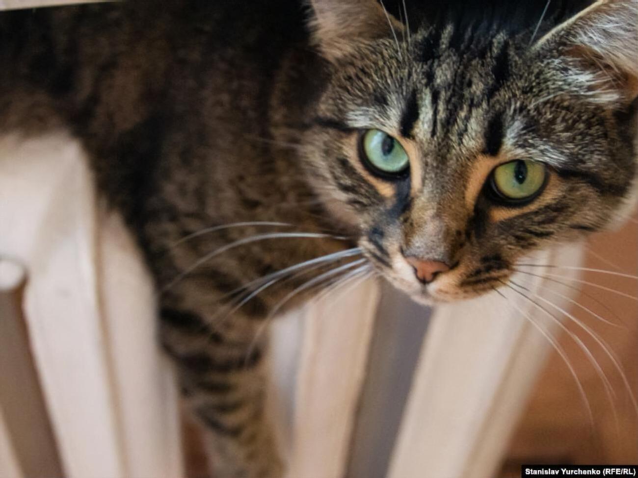 Объекты социальной сферы на 100% отапливаются в Николаевской, Сумской, Херсонской областях и Киеве