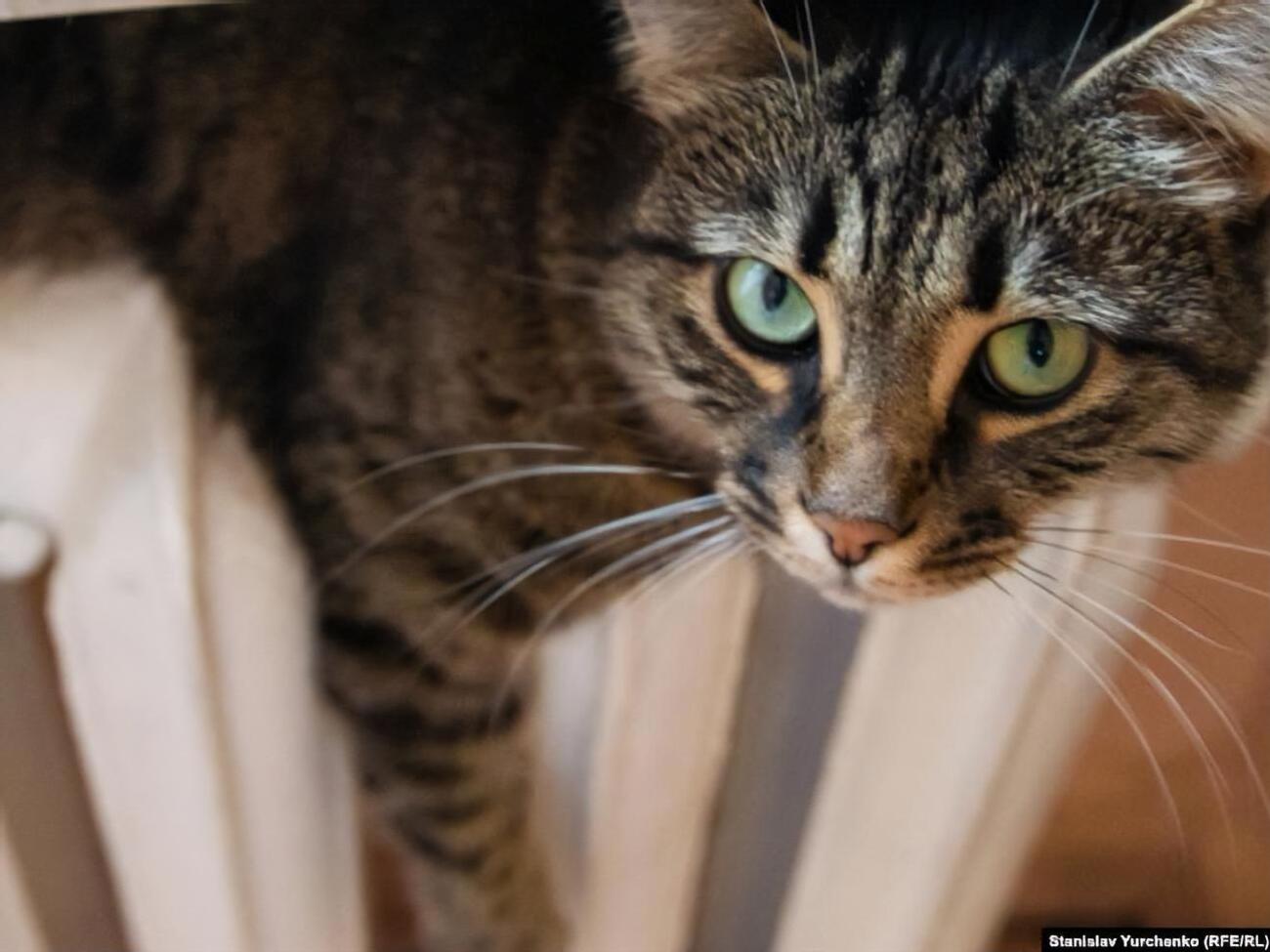 Рішення про скасування постанови забезпечує стале проходження опалювального сезону, заявили в Мінекоенерго