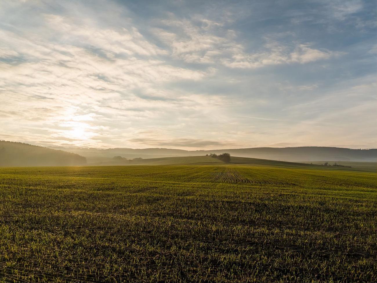 Лещенко заявил, что Зеленский запустил по вопросу земельной реформы "режим национального диалога"