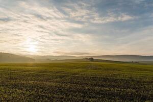 Лещенко заявил, что Зеленский запустил по вопросу земельной реформы "режим национального диалога"
