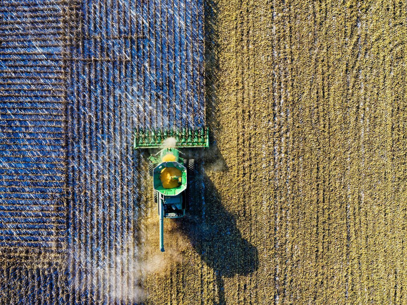 Рынок земли в Украине должен заработать с 1 октября 2020 года