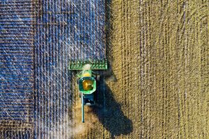 Рынок земли в Украине должен заработать с 1 октября 2020 года