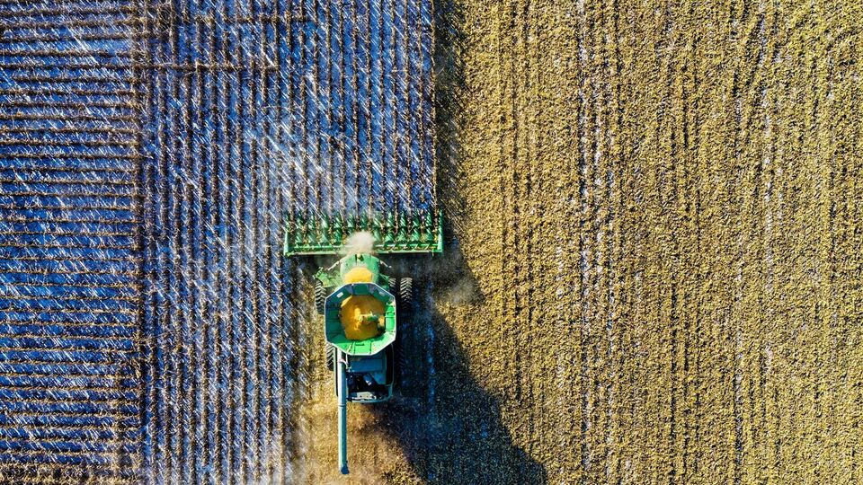 Рынок земли в Украине должен заработать с 1 октября 2020 года