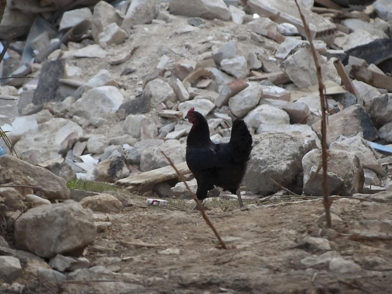 Україна може відчути підземні поштовхи, вважає експерт