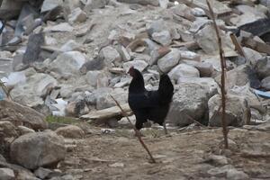 Україна може відчути підземні поштовхи, вважає експерт