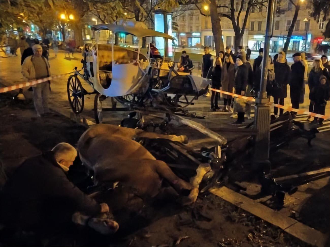 Травмирована одна из лошадей