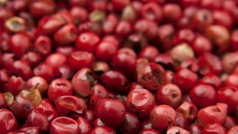 У сирому вигляді ягоди годжі вживати не можна