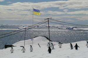 У Украины нет океанического судна для изучения Антарктиды