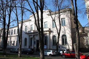 Поки Український інститут нацпам'яті працює без директора