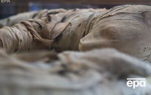 Львята, змеи и большой скарабей. В Египте показали мумии животных из древнего некрополя. Фоторепортаж