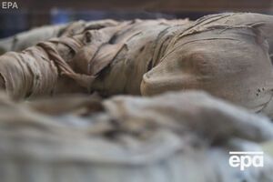 Львята, змеи и большой скарабей. В Египте показали мумии животных из древнего некрополя. Фоторепортаж