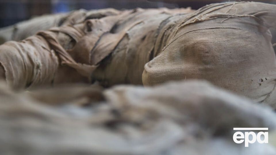 Левенята, змії та великий скарабей. У Єгипті показали мумії тварин із давнього некрополя. Фоторепортаж