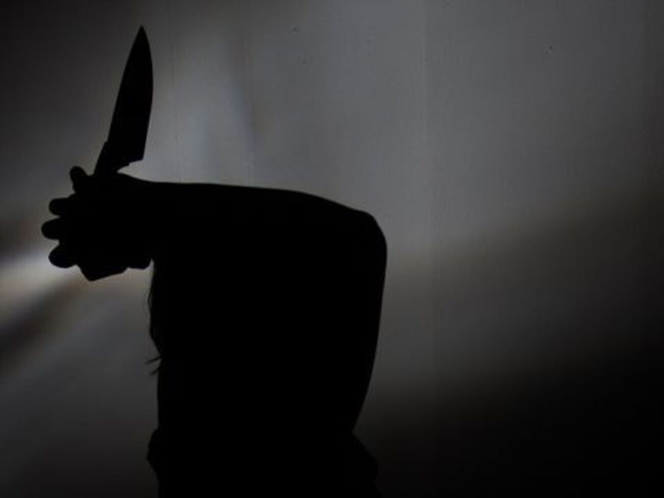 Задержанные признали свою вину